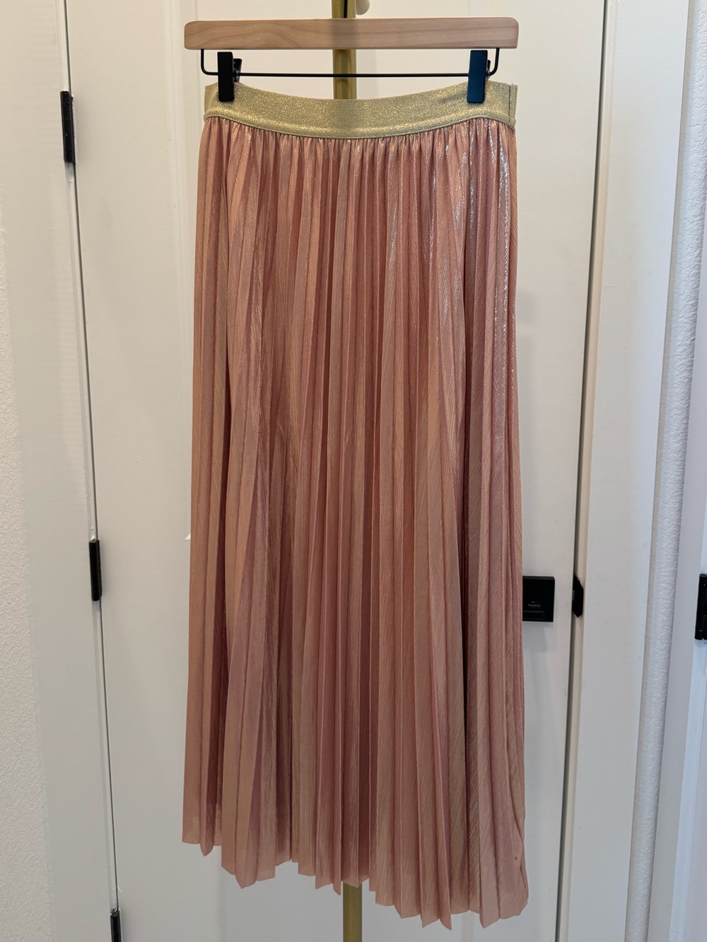 Molly Bracken Long Pleated and Iridescent Skirt